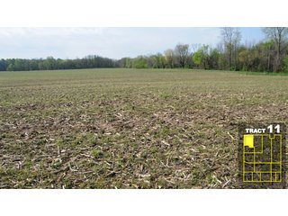 Property photo 60 - Land Auction 1035 Acres In 16 tracts - Farm Land - Sullivan Co. Indiana & Clark Co., Illinois